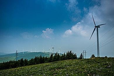 印度官方放松《绝地求生手游》封禁：试运营三个月